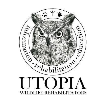 Utopia Wildlife Rehabilitators Bird Song Blend SMBC